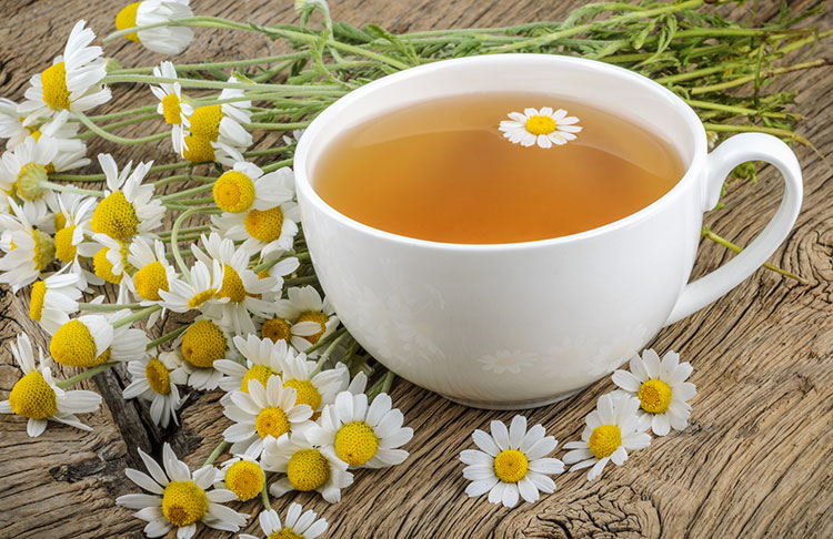 6 Amazing Chamomile Benefits and Uses | Daily Health Valley