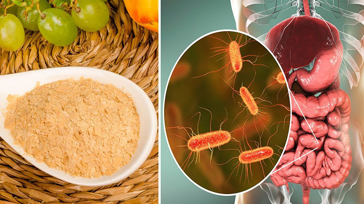 7 Health Benefits Of Brewers Yeast You Should Know | Daily Health Valley